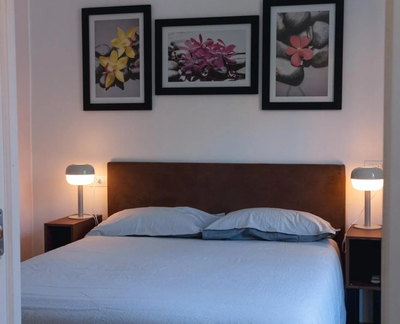 Vikos Lodge Apartment Bologna 0*,